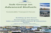 Sub Group on Advanced Biofuelsartfuelsforum.eu/wp-content/uploads/2017/05/Terminology-Glossary... · 06/05/2009 · Sub Group on Advanced Biofuels ... Observers' behalf may be held