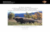 Detection and Transmission Dynamics of Brucella abortus in ... disease/brucellosis/A Risk Analysis of... · 1 A Risk Analysis of Brucella abortus Transmission among Bison, Elk, and