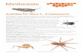 Minibeasts - Activities for Years 3-6 Classrooms · Minibeasts Activities for Years 3 ... Animals in the classroom Keeping live animals in the classroom encourages children to observe,