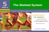 The Skeletal System - ihsanatomy.weebly.com · ELAINE N. MARIEB EIGHTH EDITION 5 ... PowerPoint ® Lecture Slide Presentation by Jerry L. Cook, ... Copyright © 2006 Pearson Education,