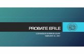 PROBATE EFILE 2-16 PRESENTATION 021617 - LA Court · 2017-02-17 · • DOCX (Word): The official format for Proposed Orders YOU WILL SUBMIT BOTH A PDF AND DOCX VERSION ... Microsoft