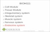 BIOH111 SN23 Lecture EndocrineSystem3 · ... Chapter 18; sections 18.1, 18.9, ... (Lectures 45 and 46) ... disorders, diabetes insipidus, thyroid and parathyroid gland disorders,