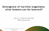 Emergence of harmful organisms: what lessons can be … · Alert List (in 2009) PRA (experts met in 2011) EPPO . A2 List (recommendation in 2012 . Regulated in EU in 2013 . Trigger