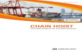  · Hook suspension chain hoist : FEM 9.511 (Hoist = FEM 2m 40% EDI Motor trolley mounted series : FEM 9.511 FEM 2m IAm 40/ EDI Starting frequency 210 time/Hr.