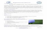 Lesson Plan Template - TryEngineering focuses on how the principles of aerospace engineering have impacted golf ball ... basketball, super/rubber ball ... Lesson Plan Template ...