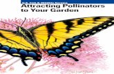 U.S. Fish & Wildlife Service Attracting Pollinators to ... · • Over 150 food crops in the United States depend on pollinators, ... . Provide habitat for nesting and egg-laying,