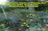 Low-Water Native Plants for Colorado Gardens - conps.org · Low-Water Native Plants for Colorado Gardens: Front Range & Foothills JB. 2 ... Running north-south, it includes the cities