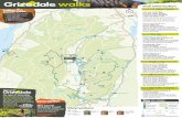walks - Forestry Commissionfile/... · A short walk with views over Coniston Water, the lake famous for the Bluebird water speed record. N Trail information Cafe Picnic area Viewpoint