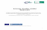 Energy Audits under BEECIFF Audit_final.pdf · I. Simplified Energy Audit Report Template ... Checklist for the Project Assistant
