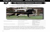 Owned by : Daniel Shrock Standing at and presented by ... · Big, black & beautiful best describes this talented son of WC Stonecroft Byzantine, our of a ... If you are looking for