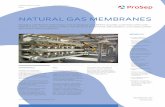 NATURAL GAS MEMBRANES - prosep.com · engineered, fabricated, installed, and commissioned over 200 membrane separation units for natural ... spiral wound module which is then inserted