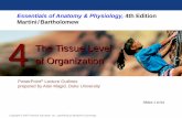 Essentials of Anatomy & Physiology, 4th Edition Martini ...my.ccsd.net/userdocs/documents/6gKGBcZKQF3wIwjj.pdf · Essentials of Anatomy & Physiology, 4th Edition Martini / Bartholomew