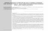 Dr. Marcelo Galvez M. y cols. / Displasias corticales como ... · La etapa de proliferación y diferenciación neuronal ocurre a nivel periventricular en el interior de la matriz