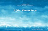 Life Destiny - az792155.vo.msecnd.net · 12th 3rd 12th Planet/Point Sign Mercury Venus Mars ... Life Destiny for Madonna Planet Aspects & Orbs Grid ... Welcome to your Life Destiny,