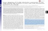 Exon skipping of FcεRIβ eliminates expression of the high ... · dampening the inflammatory resp onse with either oral or inhaled ... (4–7). Moreover, ... Phosphorylation of AKT