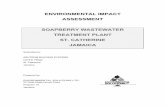 ENVIRONMENTAL IMPACT ASSESSMENT SOAPBERRY WASTEWATER ... · ENVIRONMENTAL IMPACT ASSESSMENT SOAPBERRY WASTEWATER TREATMENT PLANT ... 5.1 Engineering Assessment ... on the relevant