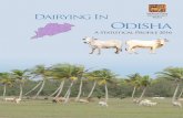 National Dairy Dairying In Board Development .DAIRYING IN ODISHA - Statistical ... of its electricity