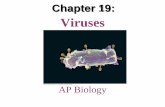 Viruses - WordPress.com microbes that stimulate the immune system to mount defenses against the ... •Antiviral drugs can help to treat ... •Prions are slow-acting, ...