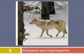 Ecosystems and Living Organisms - Denver School of the …dsapresents.org/.../files/2017/10/Chap-5-Eco-Living-Org.pdf · 2017-10-20 · 5 Ecosystems and Living Organisms © 2015 John