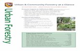 Urban & Community Forestry at a Glance - California · Percent Urban Land of State Land Area ... Urban & Community Forestry at a Glance. ... , please visit California ReLeaf at or