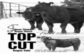 Thursday March 22, 2012 - Mid Continent Farms Stewart Top Cut Catalog... · Thursday, March 22, 2012 Lot ... Ohlde Cattle Company has based the bulk of their program ... Basin Rainmaker