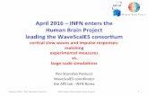 April&2016&–INFN&enters&the&& HumanBrainProject …personalpages.to.infn.it/~beraudo/colloquia/files/Paolucci_talk.pdf · April&2016&–INFN&enters&the&& HumanBrainProject leading&the&WaveScalESconsorCum&