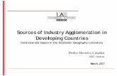Sources of Industry Agglomeration in Developing Countries · Agricultural labour force as ... of theories of industry agglomeration in developing countries. ... Centripetal forces