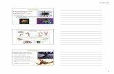 10. Arthropods - 202.pptpeople.uncw.edu/scharff/courses/202/pdfs/10. Arthropods - 202.pdfArthropods BIO202 - 2012 Scharf ... • Indirect development in most (metamorphosis) ... 10.