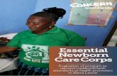 Essential Newborn Care Corps - Concern Worldwide€¦ · Essential Newborn Care Corps Evaluation of program to rebrand traditional birth attendants as health promoters in Sierra Leone