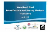 Woodland Bird Identification and Survey Methods …birdlife.org.au/documents/WB-Identification_and_Survey_Techniques... · Woodland Bird Identification and Survey ... 1. Getting to