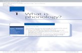 CHAPTER 1 What is phonology? - Cambridge …assets.cambridge.org/97811070/31449/excerpt/9781107031449_excerpt.pdfCHAPTER 1 What is phonology? PREVIEW This chapter introduces phonology,
