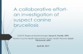 A collaborative effort- an investigation of suspect canine ... Lens_NW_Canine... · A collaborative effort-an investigation of ... that infect humans are B. abortus, B. melitensis,