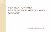 VENTILATION AND PERFUSION IN HEALTH AND DISEASE · VENTILATION AND PERFUSION IN HEALTH AND DISEASE Dr.HARIPRASAD VS. Ventilation ... V-Q matching is required for maintaining normal
