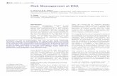 Risk Management at ESA · European Cooperation for Space Standardization (ECSS) ... in which the various approaches to risk management at ESA, NASA, and the …