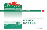 FOR THE CARE AND HANDLING OF DAIRY CATTLE · code of practice for the care and handling of dairy cattle - 2009 4 1 The National Farm Animal Care Council supports the following definition
