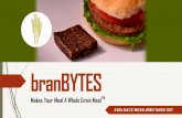 branbytes Make Your Meal A Whole Grain Mealgsm.ucdavis.edu/sites/main/files/file-attachments/branbytes.pdf · Hortense Carrot Product Developer and ... Veggi and Lentil chips sold