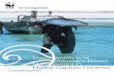 Implementation of Case studies from WWF’s Marine Ecoregions …assets.panda.org/downloads/wwf_ebm_toolkit_2007.pdf · 2007-03-14 · Case studies from WWF’s Marine Ecoregions
