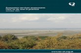 Ecosystem services assessment: How to do one in practice · Results of ecosystem service assessment of ... the main ecosystems, prioritisation of ecosystem services for further study,