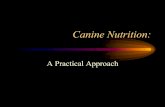 Canine Nutrition - Kentucky Irish Wolfhounds · Canine Nutrition: A Practical Approach ... Dietary fat should supply not less than than 5% ... Decreased appetite, constipation, weight