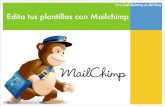 Curso Email Marketing con Mailchimp - ideasled.com · Verás que Mailchimp te ofrece muchas posibilidades de edición y que es muy intuitivo. Una vez hayas dejado tu mensaje tal y