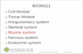 BIOH111 SN12 Muscular System · BIOH111 –muscle system module o Session 11 ... water and heat using process called cellular respiration ... filaments slide past each other