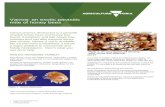 How do i recognise varroa? - agriculture.vic.gov.auagriculture.vic.gov.au/__data/assets/word_doc/...fact-sheet_final.docx · Web viewAll beekeepers are required to regularly test