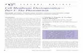 Cell Membrane Electroporation—Part 1: The Phenomenonlbk.electroporation.net/pdfs/eim2012.pdf · branes (electroporation) can be either reversible of irreversible, each having many