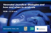 Neonatal Jaundice: Etiologies and how and when to …/media/Files/Medical Professionals... · 2016-03-09 · Neonatal Jaundice: Etiologies and how and when to evaluate ... •Neonatal
