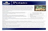 Potato - MSU Extensionmsuextension.org/.../EB0212_11_Potato.pdf · Pierce potato with a fork prior to baking to allow steam to escape. Place in 400°F oven and bake 45 minutes or