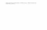 Signal Transduction: Pathways, Mechanisms and Diseasesdownload.e-bookshelf.de/download/0000/0139/09/L-G-0000013909... · Danny N. Dhanasekaran and E. Premkumar Reddy ... Ruairi Friel,