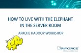 HOW TO LIVE WITH THE ELEPHANT IN THE SERVER ROOM … DATA Hadoop workshop... · HOW TO LIVE WITH THE ELEPHANT IN THE SERVER ROOM APACHE HADOOP WORKSHOP. ... – Fast network connections