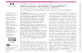 EXTENDED REPORT Crystal structure of Porphyromonas ...ard.bmj.com/content/annrheumdis/75/6/1255.full.pdf · peptidylarginine deiminase: implications for autoimmunity in rheumatoid