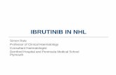 IBRUTINIB IN NHL - ercongressi.it · Zhang, MD, PhD, Maria Badillo, BS, Maria Rosa, Alicia Addison, Larry Kwak, MD, PhD and Jorge Romaguera, MD Department of Lymphoma/Myeloma