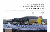 Parallel Report THE RIGHT TO ADEQUATE FOOD IN CAMEROONtbinternet.ohchr.org/Treaties/CESCR/Shared Documents/CMR/INT_CES… · Parallel Report THE RIGHT TO ADEQUATE ... SODEPA Société